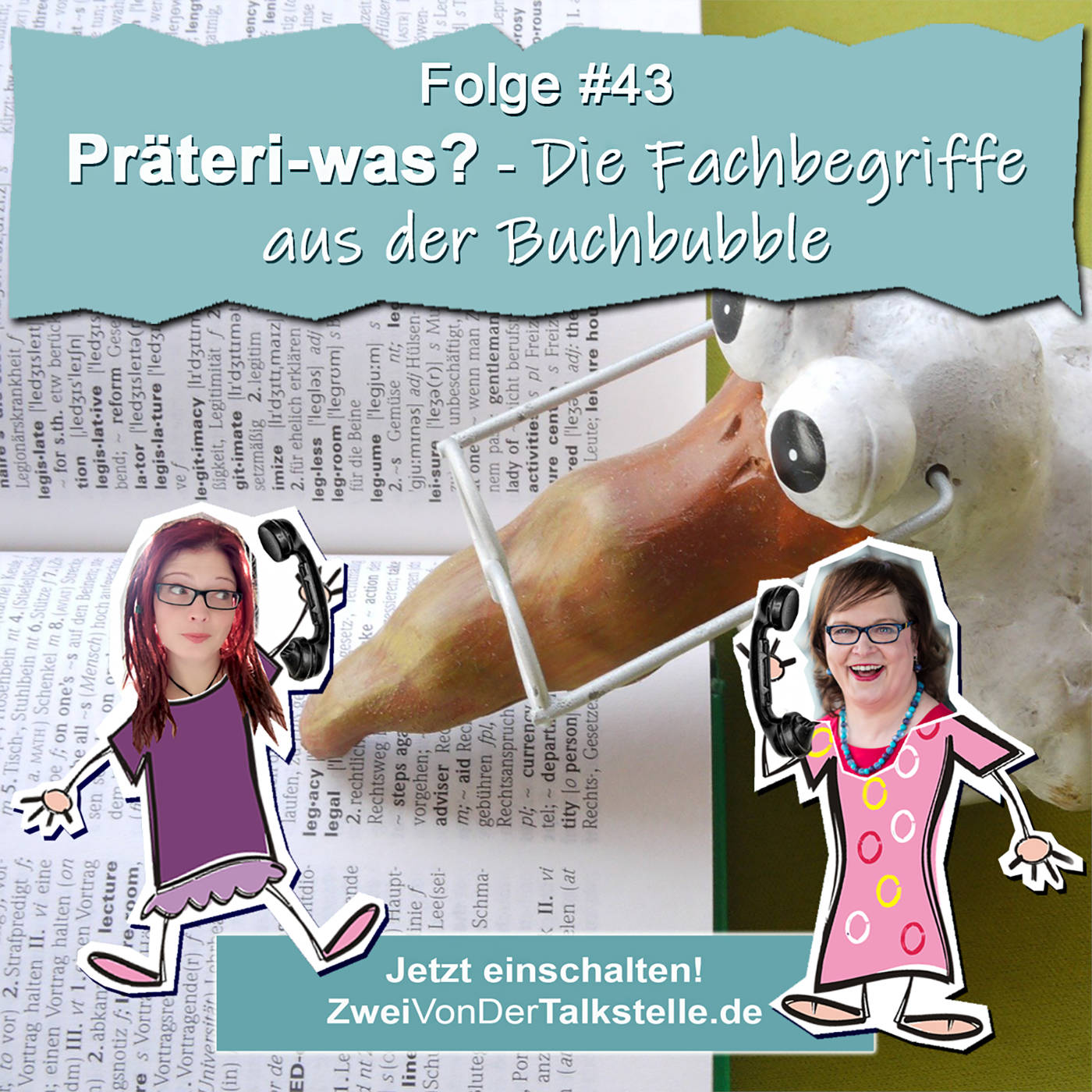 DZVDT 43 - Präteri-was? - Die Fachbegriffe aus der Buchbubble