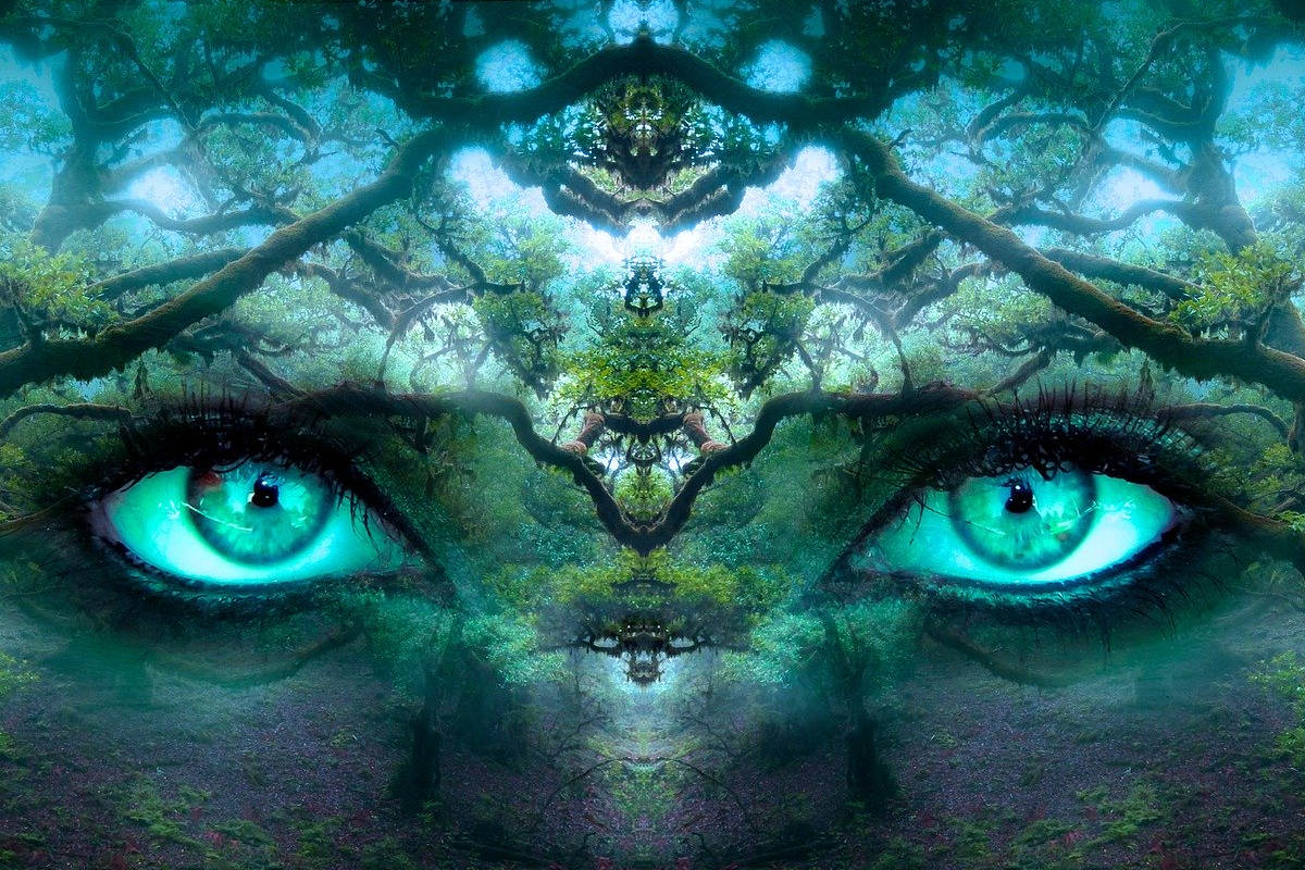 Wie wirst du in sieben Jahren auf heute schauen?